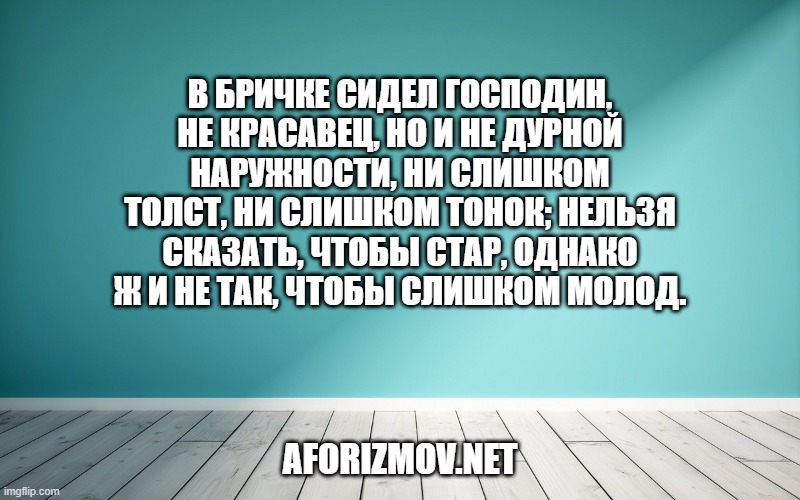 В бричке сидел господин, не красавец, но и не дурной наружности, ни слишком толст, ни слишком тонок; нельзя сказать, чтобы стар, однако ж и не так, чтобы слишком молод.