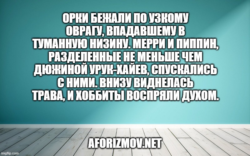 Орки бежали по узкому оврагу, впадавшему в туманную низину. Мерри и Пиппин, разделенные не меньше чем дюжиной урук-хайев, спускались с ними. Внизу виднелась трава, и хоббиты воспряли духом.