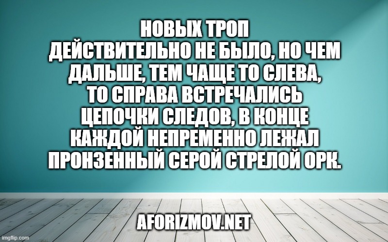 Новых троп действительно не было, но чем дальше, тем чаще то слева, то справа встречались цепочки следов, в конце каждой непременно лежал пронзенный серой стрелой орк.