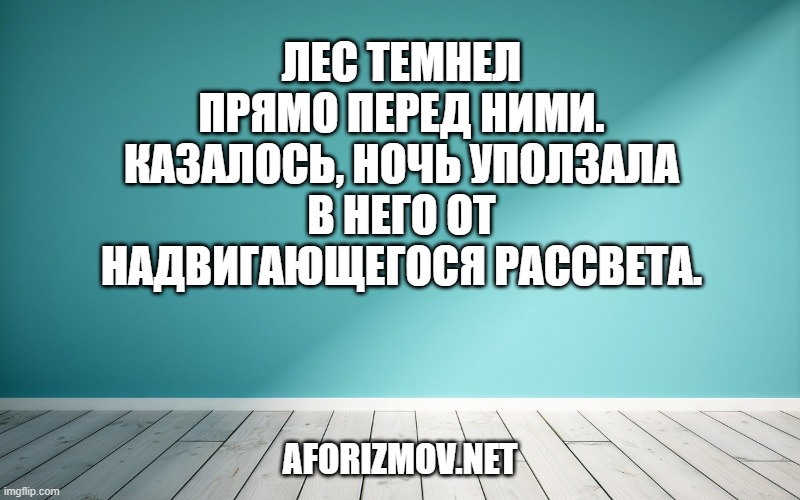Лес темнел прямо перед ними. Казалось, ночь уползала в него от надвигающегося рассвета.
