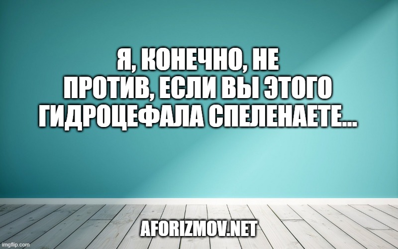 Я, конечно, не против, если вы этого гидроцефала спеленаете…