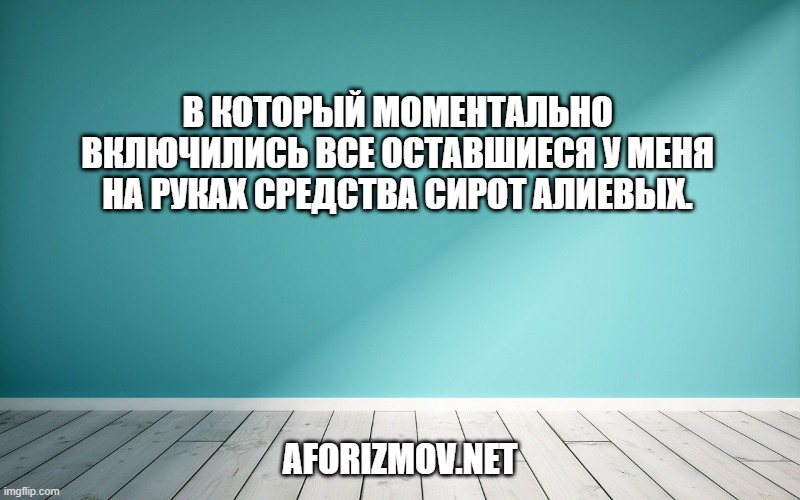 В который моментально включились все оставшиеся у меня на руках средства сирот Алиевых.