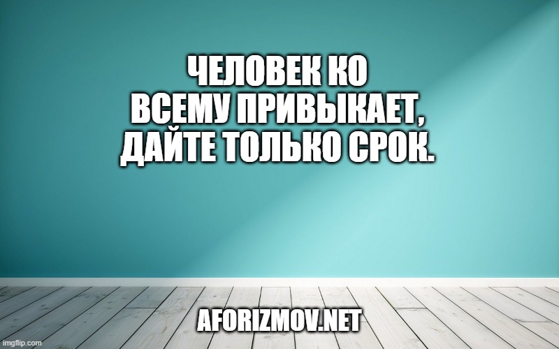 Человек ко всему привыкает, дайте только срок.