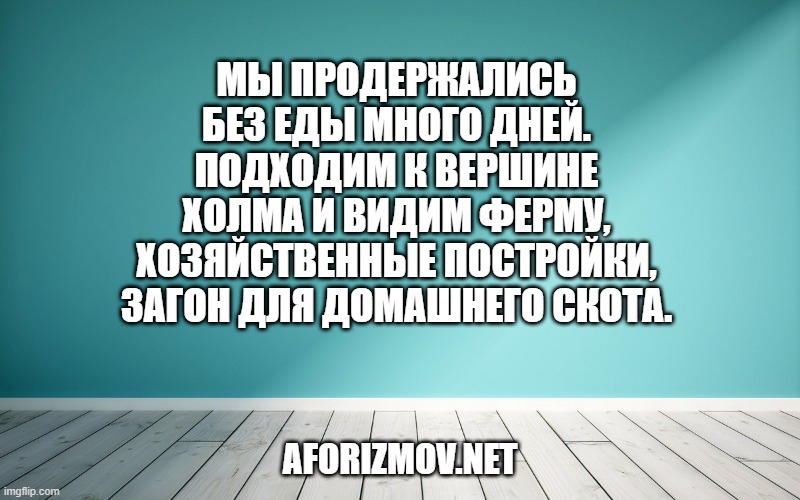 Мы продержались без еды много дней. Подходим к вершине холма и видим ферму, хозяйственные постройки, загон для домашнего скота.