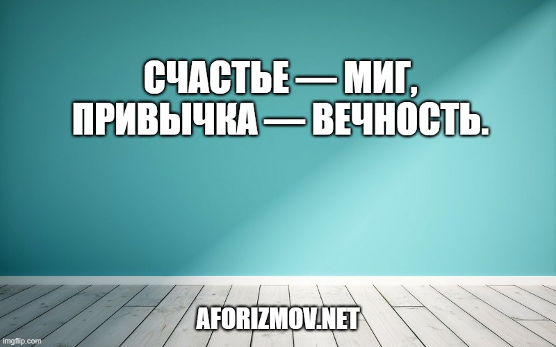 Счастье — миг, привычка — вечность.