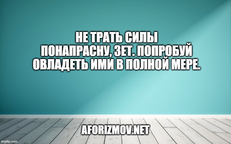 Не трать силы понапрасну, Зет. Попробуй овладеть ими в полной мере.
