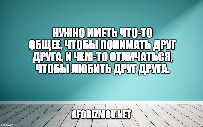 Нужно иметь что-то общее, чтобы понимать друг друга, и чем-то отличаться, чтобы любить друг друга.
