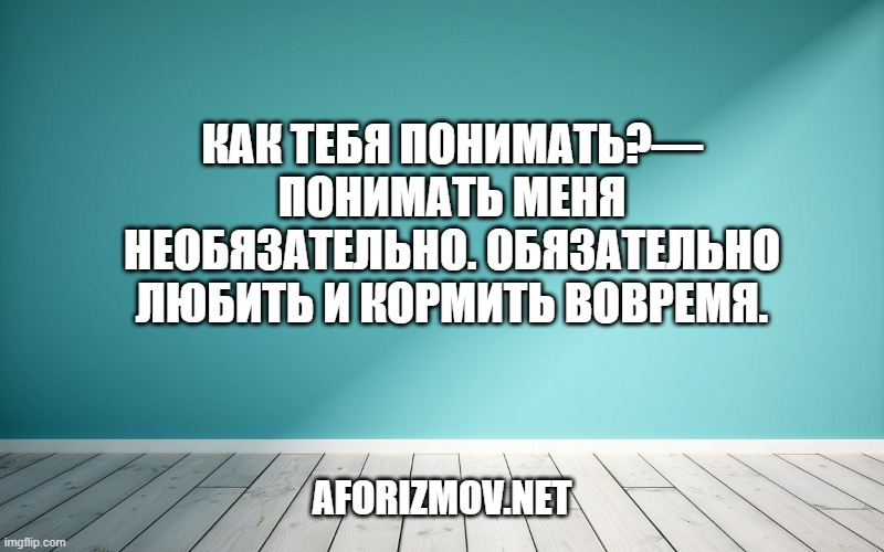 Как тебя понимать?— Понимать меня необязательно. Обязательно любить и кормить вовремя.