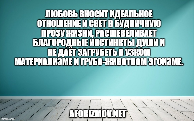 Любовь вносит идеальное отношение и свет в будничную прозу жизни, расшевеливает благородные инстинкты души и не даёт загрубеть в узком материализме и грубо-животном эгоизме.