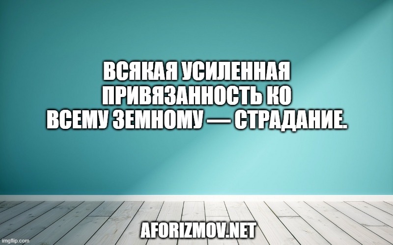 Всякая усиленная привязанность ко всему земному — страдание.