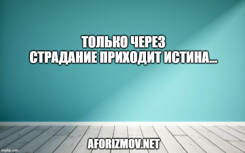 Только через страдание приходит истина…