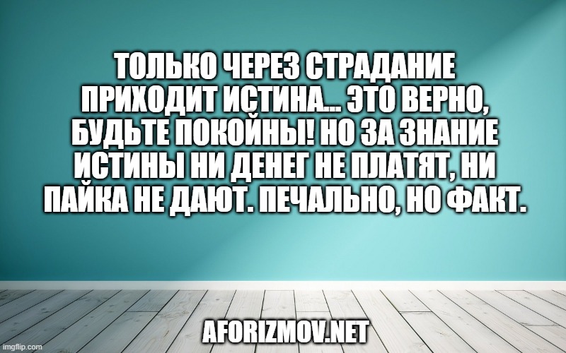Только через страдание приходит истина… Это верно, будьте покойны! Но за знание истины ни денег не платят, ни пайка не дают. Печально, но факт.