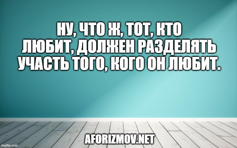 Ну, что ж, тот, кто любит, должен разделять участь того, кого он любит.