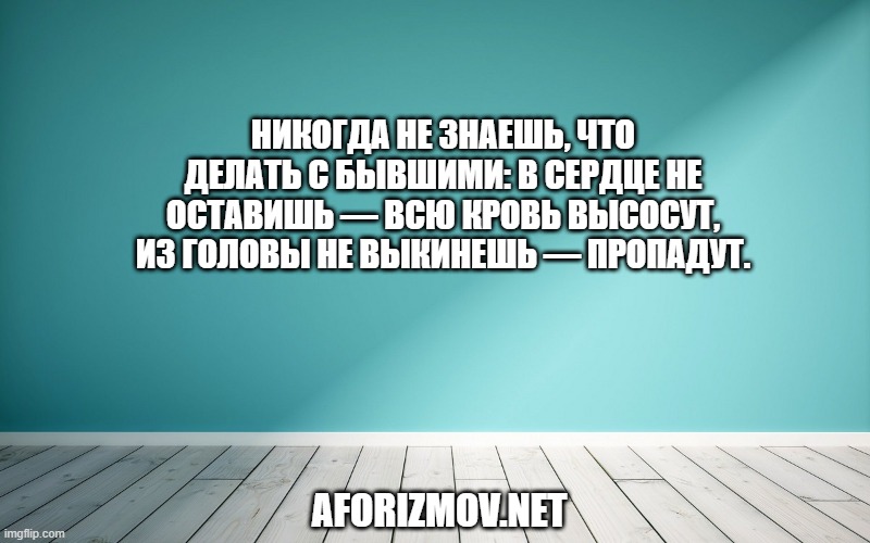 Никогда не знаешь, что делать с бывшими: в сердце не оставишь — всю кровь высосут, из головы не выкинешь — пропадут.