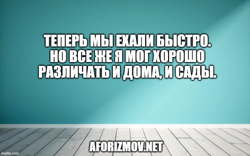 Теперь мы ехали быстро. Но все же я мог хорошо различать и дома, и сады.