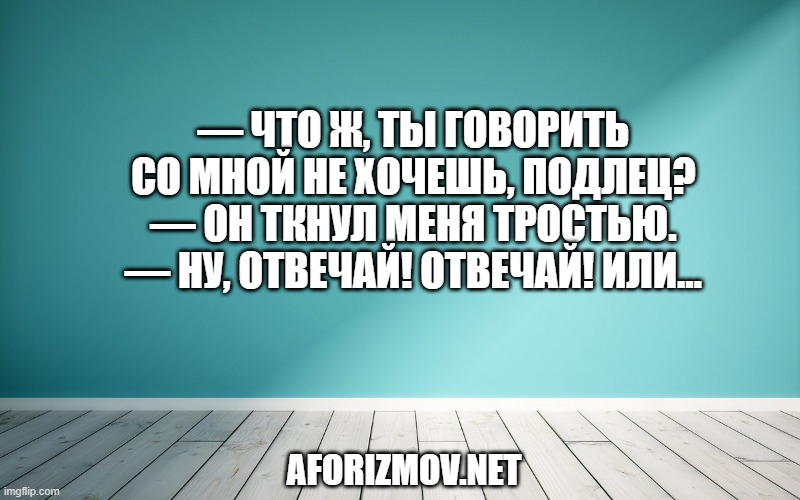 — Что ж, ты говорить со мной не хочешь, подлец? — Он ткнул меня тростью. — Ну, отвечай! Отвечай! Или…