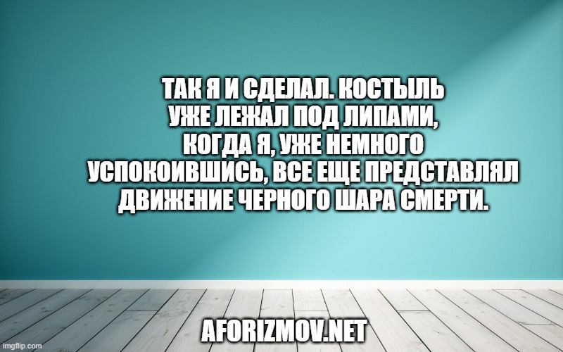 Так я и сделал. Костыль уже лежал под липами, когда я, уже немного успокоившись, все еще представлял движение черного шара смерти.