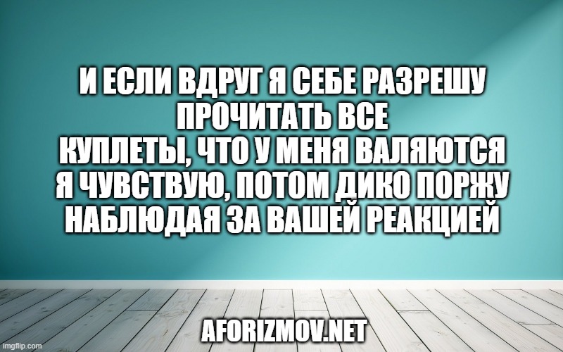 И если вдруг я себе разрешу
Прочитать все куплеты, что у меня валяются
Я чувствую, потом дико поржу
Наблюдая за вашей реакцией