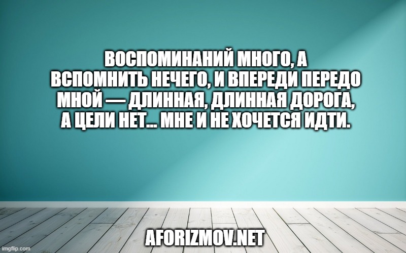 Воспоминаний много, а вспомнить нечего, и впереди передо мной — длинная, длинная дорога, а цели нет… Мне и не хочется идти.