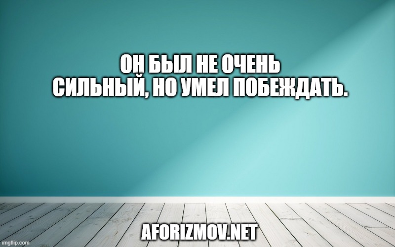 Он был не очень сильный, но умел побеждать.