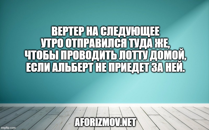 Вертер на следующее утро отправился туда же, чтобы проводить Лотту домой, если Альберт не приедет за ней.