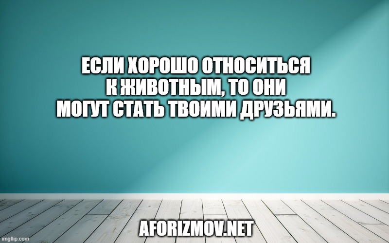 Если хорошо относиться к животным, то они могут стать твоими друзьями.