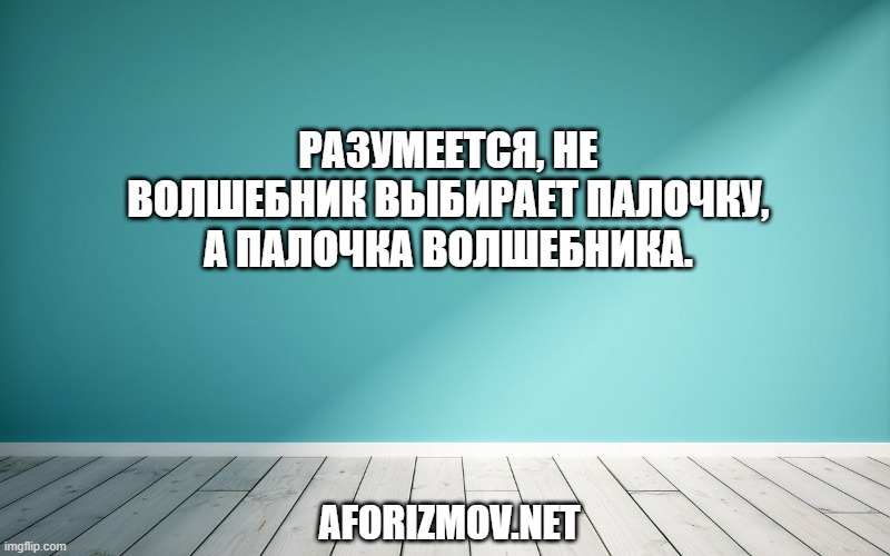 Разумеется, не волшебник выбирает палочку, а палочка волшебника.