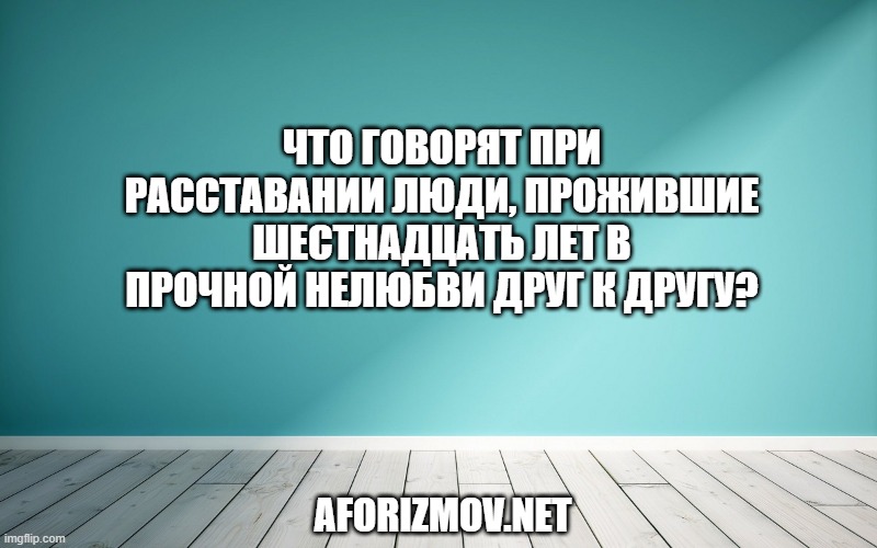 Что говорят при расставании люди, прожившие шестнадцать лет в прочной нелюбви друг к другу?