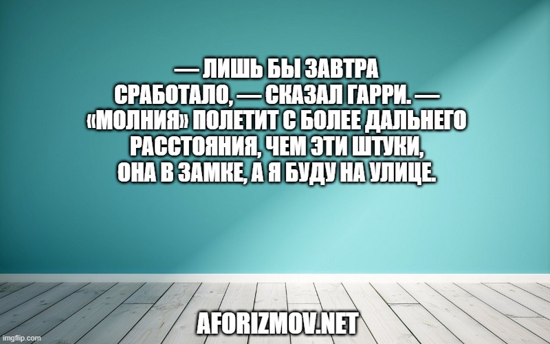 — Лишь бы завтра сработало, — сказал Гарри. — «Молния» полетит с более дальнего расстояния, чем эти штуки, она в замке, а я буду на улице.