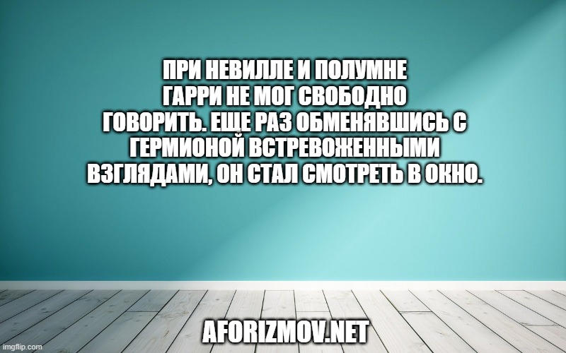 При Невилле и Полумне Гарри не мог свободно говорить. Еще раз обменявшись с Гермионой встревоженными взглядами, он стал смотреть в окно.