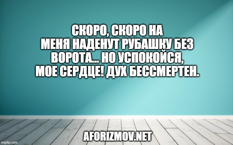 Скоро, скоро на меня наденут рубашку без ворота… Но успокойся, мое сердце! Дух бессмертен.