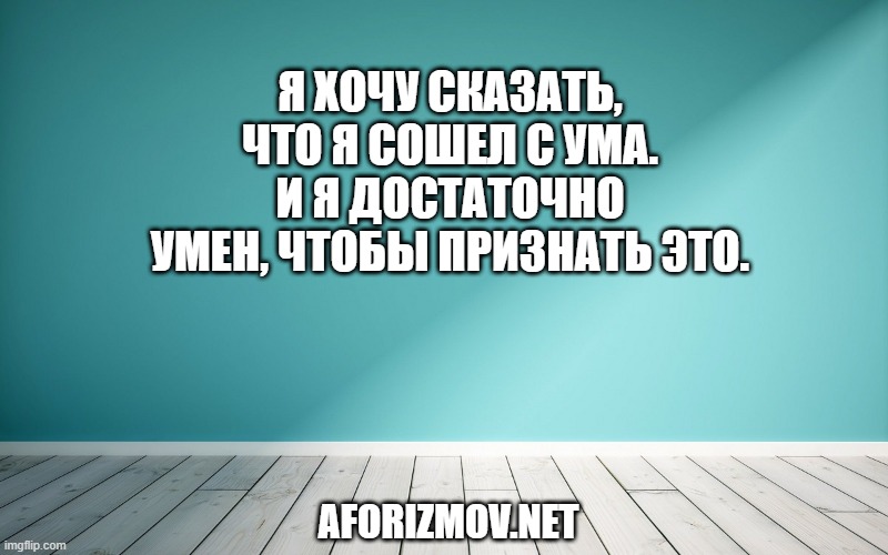Я хочу сказать, что я сошел с ума. И я достаточно умен, чтобы признать это.