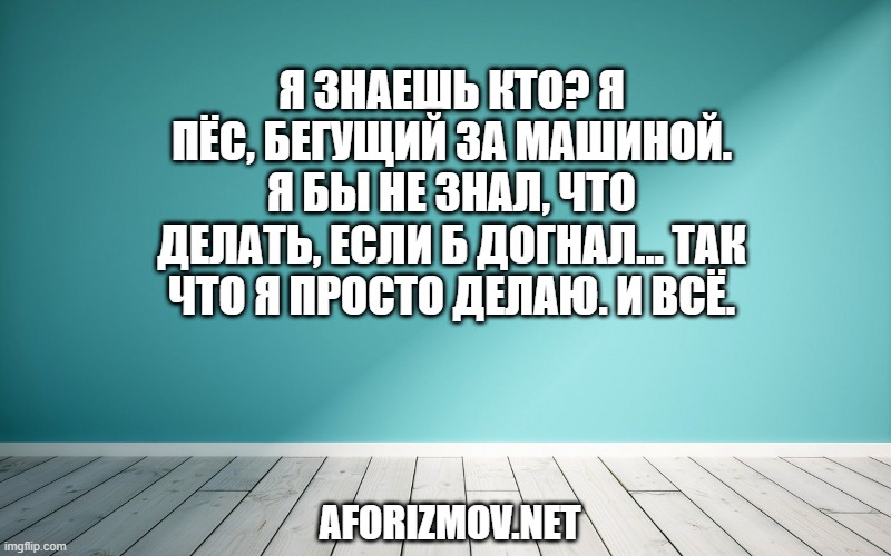 Я знаешь кто? Я пёс, бегущий за машиной. Я бы не знал, что делать, если б догнал… Так что я просто делаю. И всё.