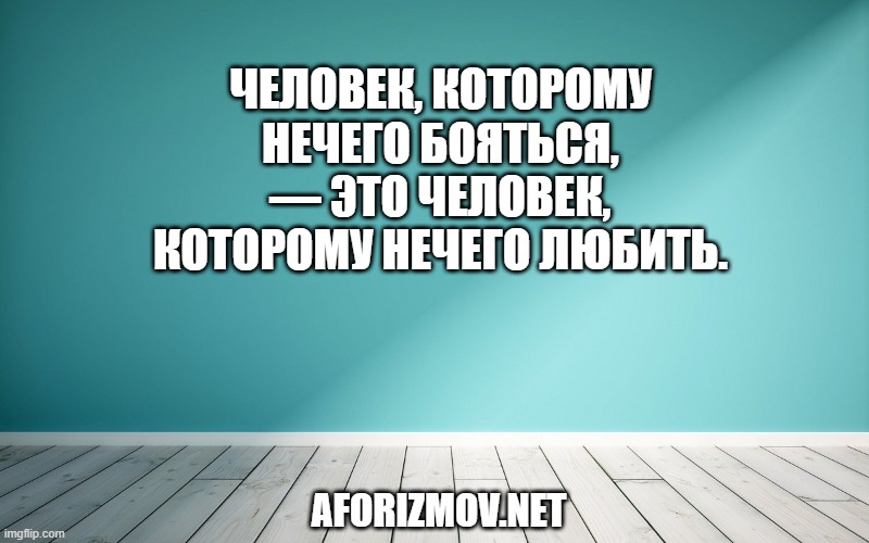 Человек, которому нечего бояться, — это человек, которому нечего любить.