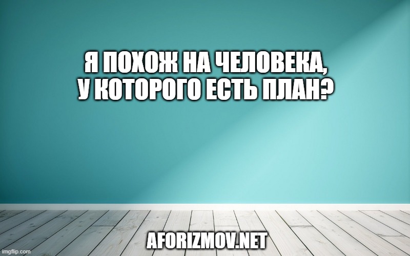 Я похож на человека, у которого есть план?