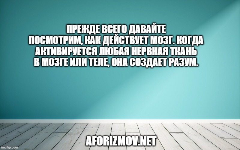 Прежде всего давайте посмотрим, как действует мозг. Когда активируется любая нервная ткань в мозге или теле, она создает разум.