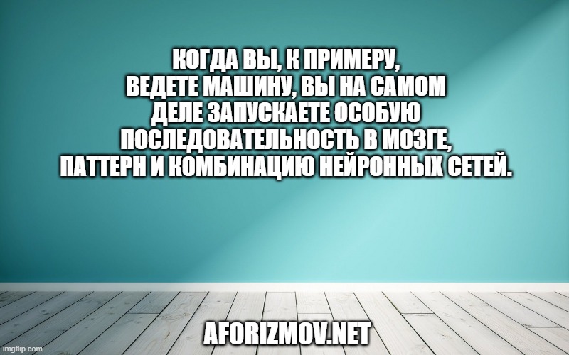 Когда вы, к примеру, ведете машину, вы на самом деле запускаете особую последовательность в мозге, паттерн и комбинацию нейронных сетей.