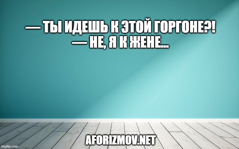 — Ты идешь к этой Горгоне?!
— Не, я к жене...