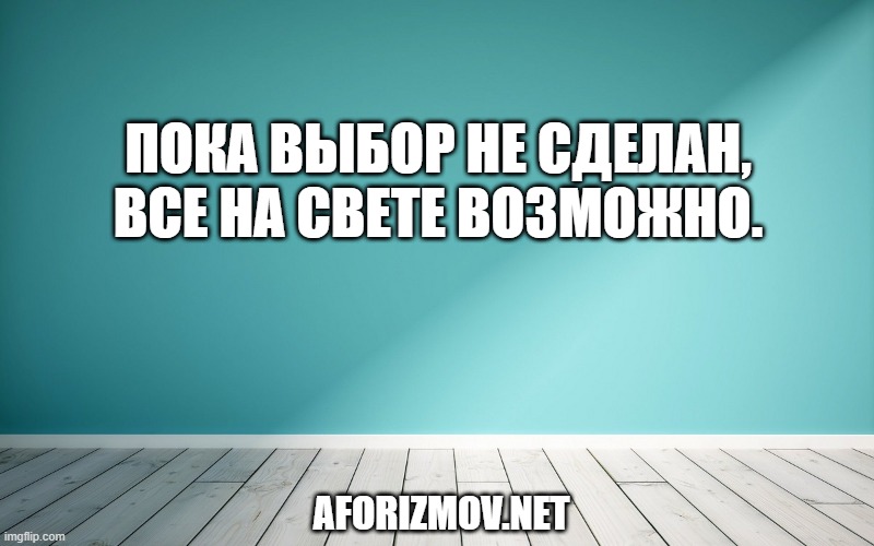 Пока выбор не сделан, все на свете возможно.