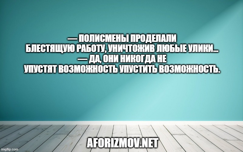 — Полисмены проделали блестящую работу, уничтожив любые улики…
— Да, они никогда не упустят возможность упустить возможность.