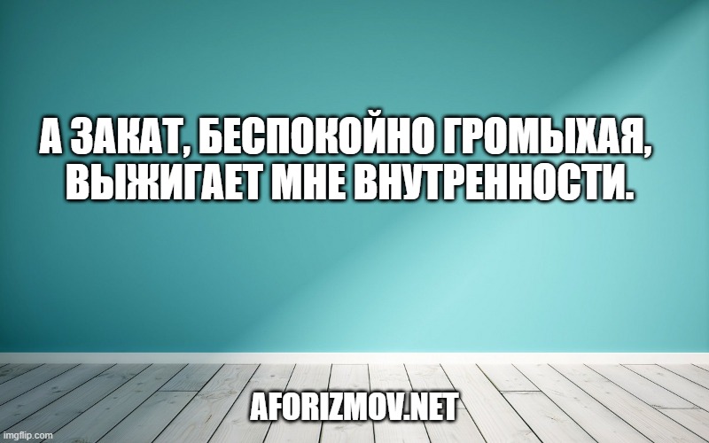 А закат, беспокойно громыхая, выжигает мне внутренности.
