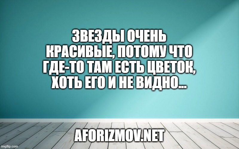 Звезды очень красивые, потому что где-то там есть цветок, хоть его и не видно...