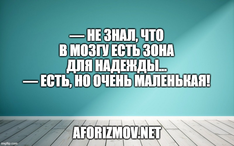 — Не знал, что в мозгу есть зона для надежды...
— Есть, но очень маленькая!