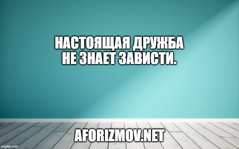 Настоящая дружба не знает зависти.