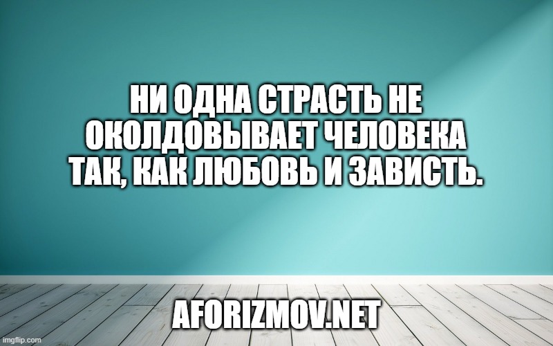 Ни одна страсть не околдовывает человека так, как любовь и зависть.