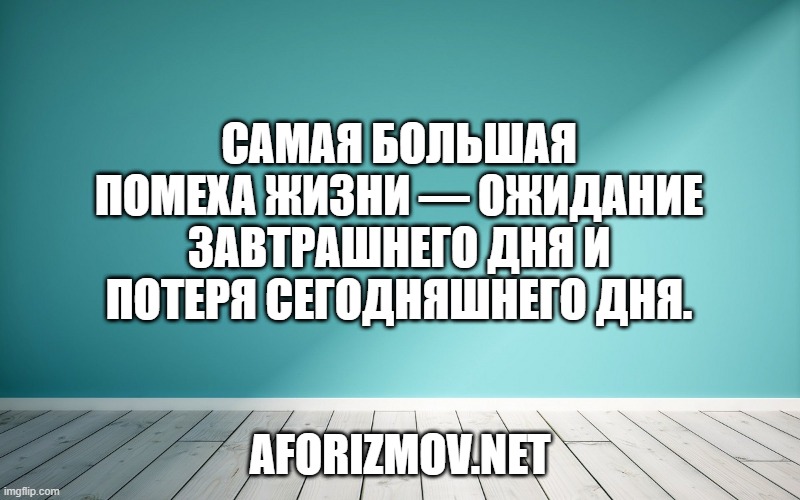 Самая большая помеха жизни — ожидание завтрашнего дня и потеря сегодняшнего дня.