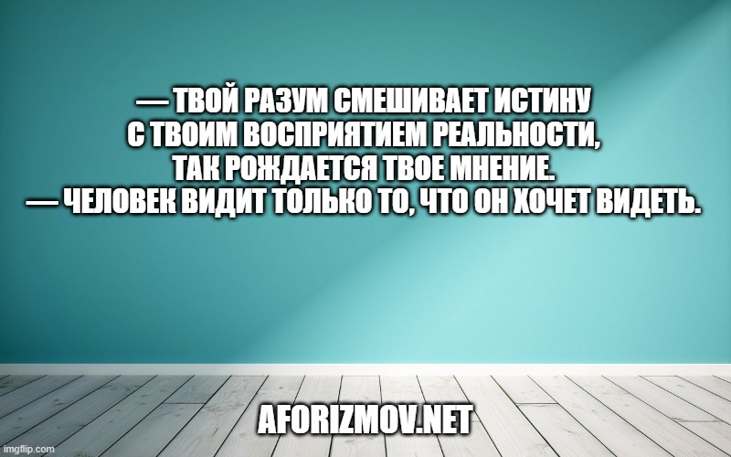 — Твой разум смешивает истину с твоим восприятием реальности, так рождается твое мнение.
— Человек видит только то, что он хочет видеть.
