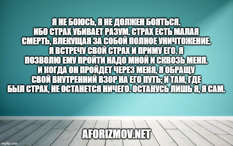 Я не боюсь, я не должен бояться. Ибо страх убивает разум. Страх есть малая смерть, влекущая за собой полное уничтожение. Я встречу свой страх и приму его. Я позволю ему пройти надо мной и сквозь меня. И когда он пройдет через меня, я обращу свой внутренний взор на его путь; и там, где был страх, не останется ничего. Останусь лишь я, я сам.