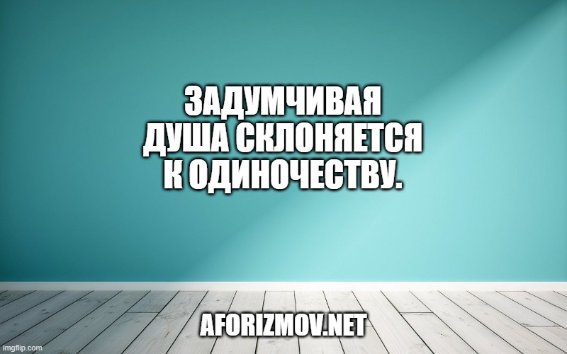 Задумчивая душа склоняется к одиночеству.