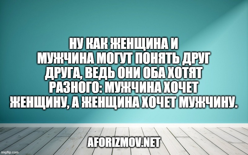 Ну как женщина и мужчина могут понять друг друга, ведь они оба хотят разного: мужчина хочет женщину, а женщина хочет мужчину.